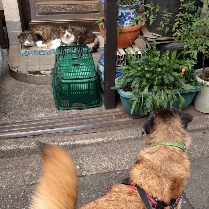 18e3a60f ccf8 4103 9095 7fdb0841285b 1536799475148