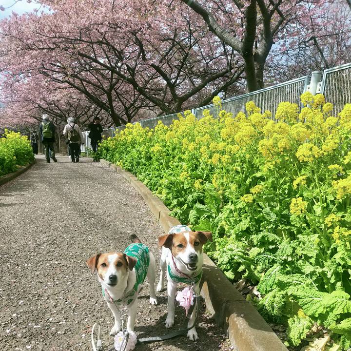 18e3cc0a 2a53 40b6 8b60 80ccf917cb68 1771756932041