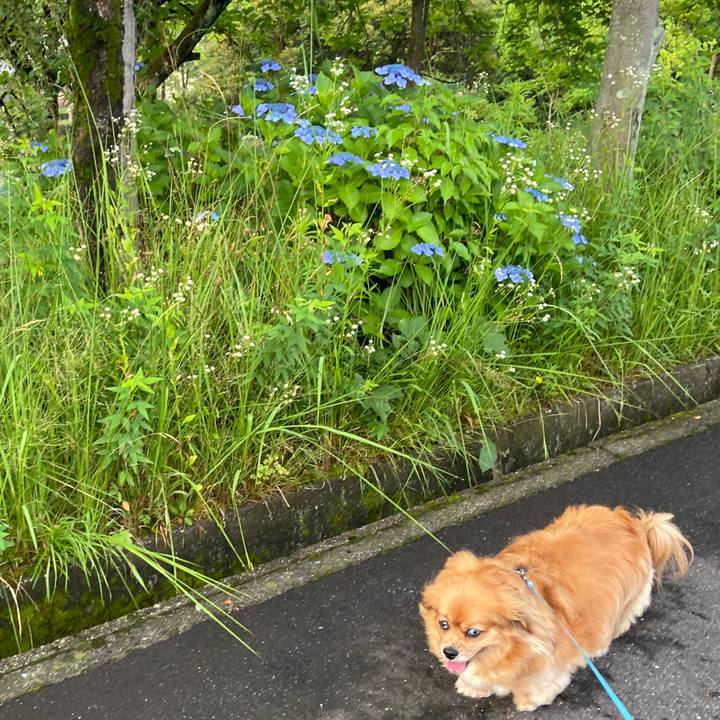 18e3d2de 7ec5 4aa9 a8d6 c0a661451d32 1655933589676