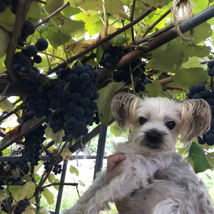 18e3daa9 ca3a 4c78 b434 0ae0e673e82f 1568023083859