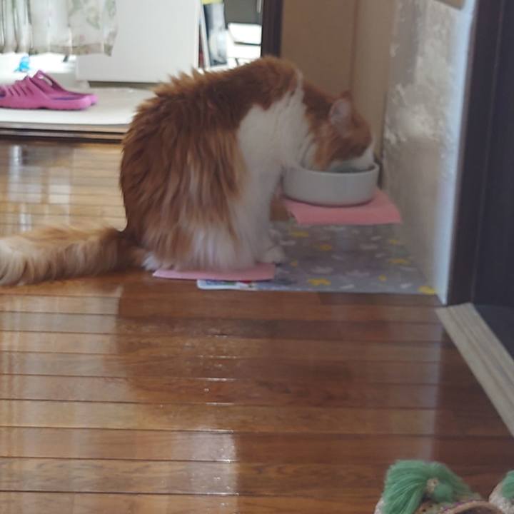 18e3ff6e 25fb 4f11 8a9c 580cc57155a2 1655697174198