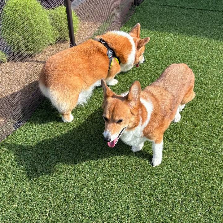 18e412d4 79f7 4842 b912 3c655f9b1969 1751068074164