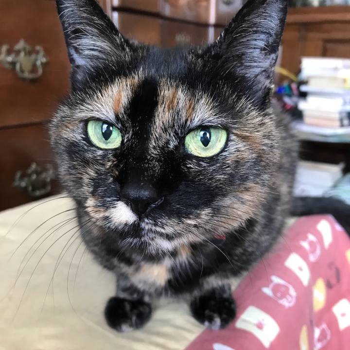 18e420e4 042a 4bbc a9ea f9af5fdd1850 1523244116689