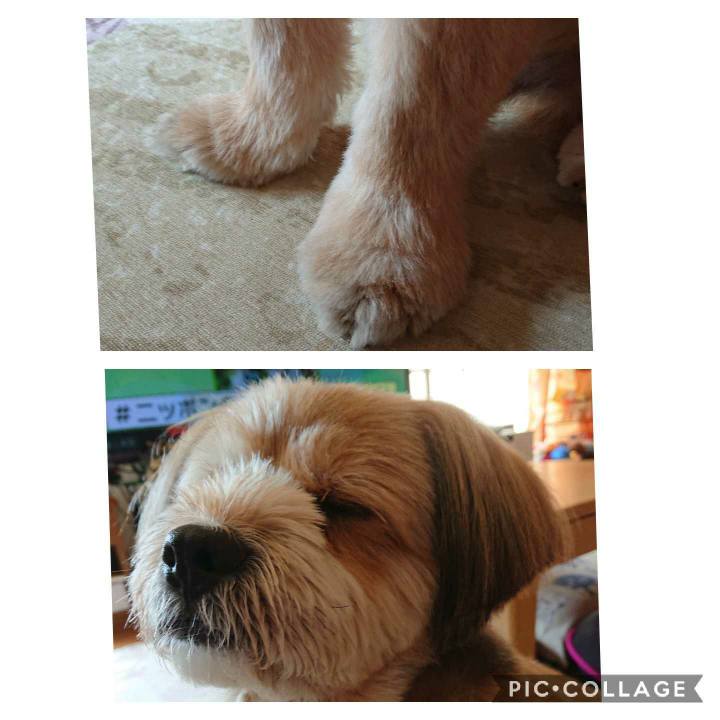 18e489fd a53e 48a4 bce2 b195027df0e3 1590713316341