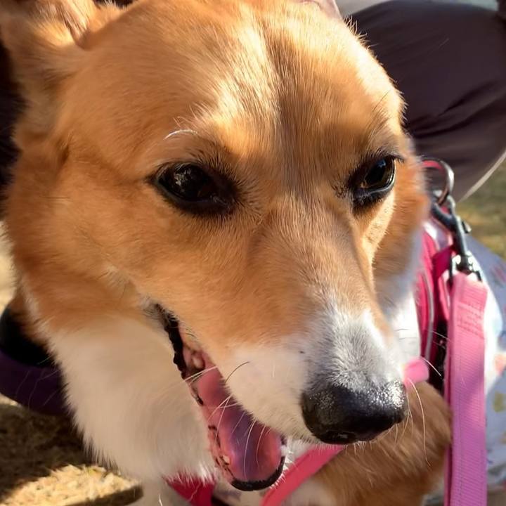 18e4b33a 3678 410d b4a0 6705032460f3 1672211763422