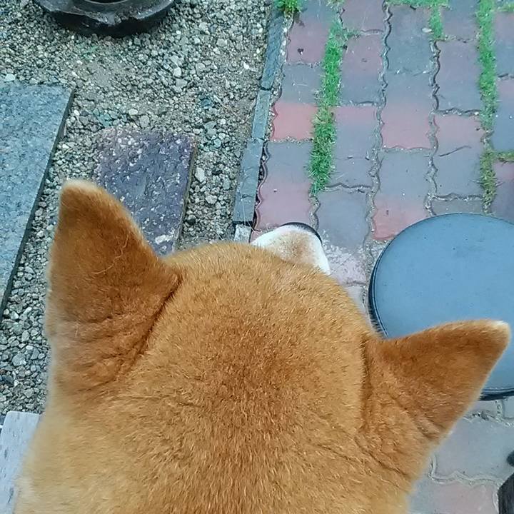 18e4c772 c3da 4615 a839 ea8184792a7b 1683452051482