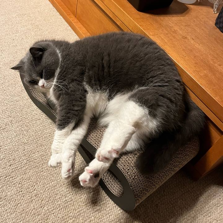 18e50487 0773 48df 91f5 e601b5d46331 1652967145462