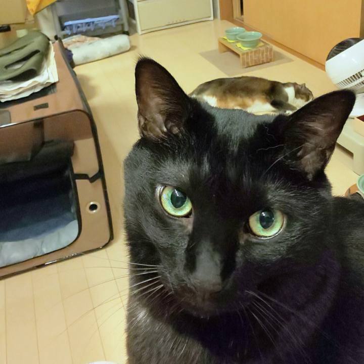 18e5808c ce06 484e ad70 d4db276f6c2a 1725459289555