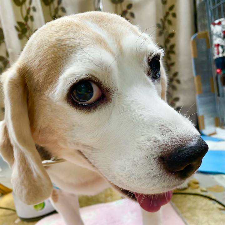 18e5849a 12d2 4661 b956 950c47dcd113 1632281931405