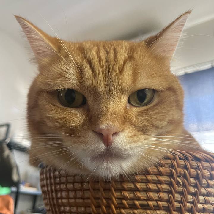 18e58f5b e8ef 4924 ad19 523777fd1b9a 1758764066079