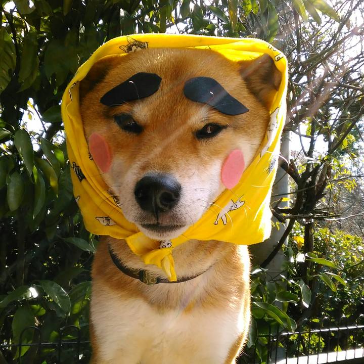 18e5909a 744a 4abd b9ca 731cf9d912d8 1518400124712