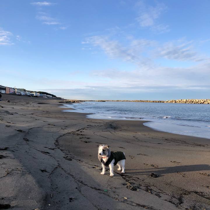 18e59fb7 d4b4 42d2 bf2c 69e05df93919 1607558558952