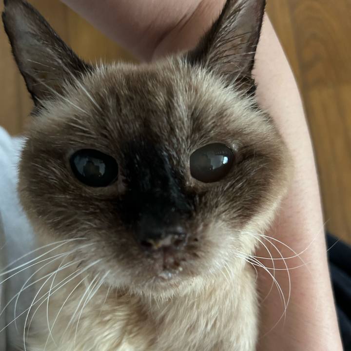 18e5dd41 9fbe 4afa b6df 836c059ad0cf 1720089944205