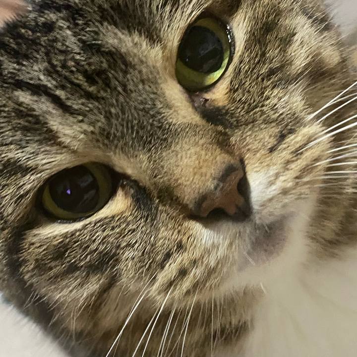 18e6099a 6339 47f2 90b2 d3e61cbe2e3e 1748793073426