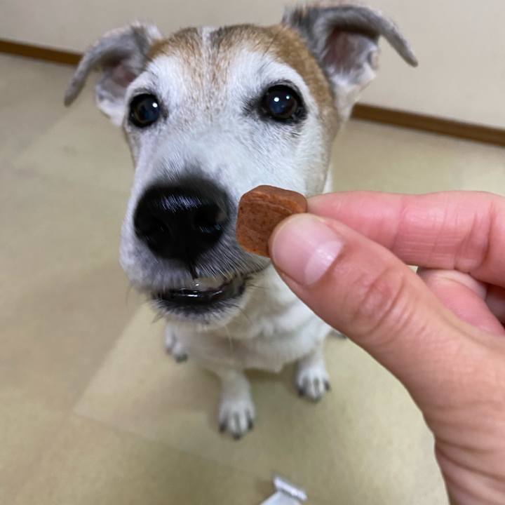 18e625ab f11a 48f9 92dd 5f4eef15ed68 1604962600868