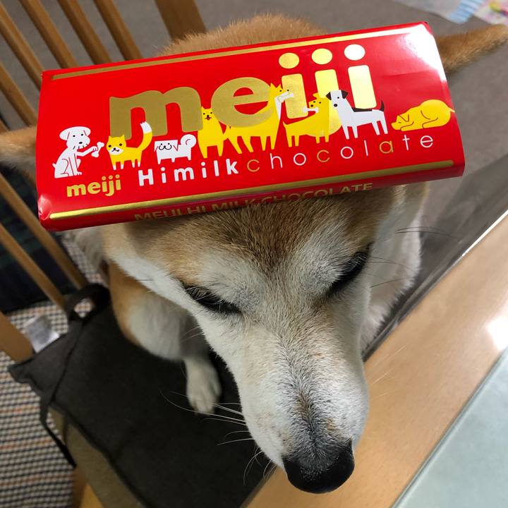 18e6b2bc df7b 4503 818d a35f2e0fc193 1581644994468