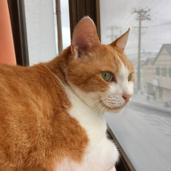 18e6b3fd a6a7 463a a8c1 ce8020dc3508 1567996972070