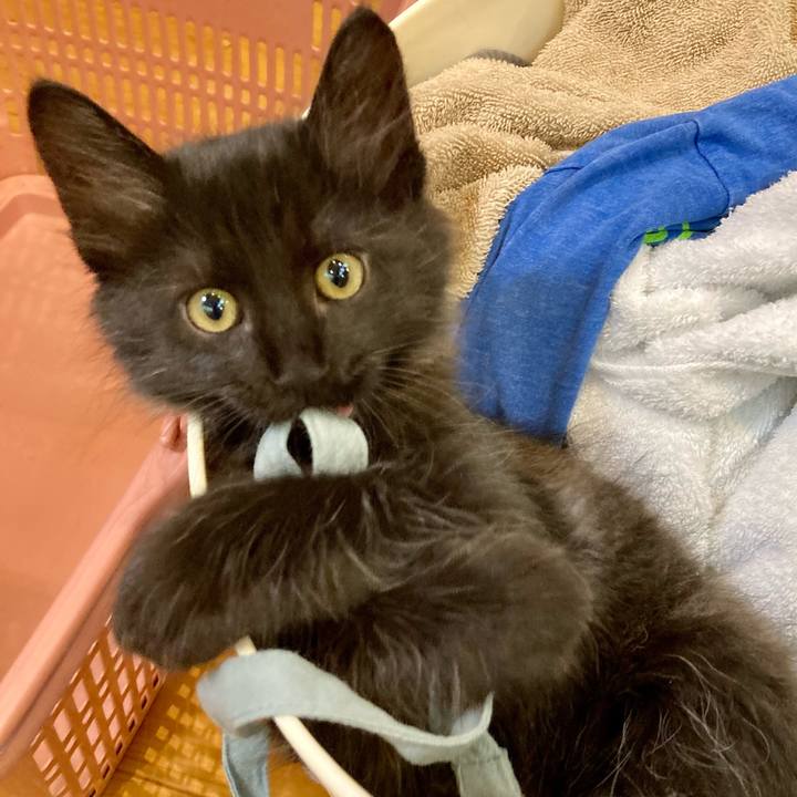 18e6b824 55fe 4940 913d 8f2ec256f6bf 1700551195864