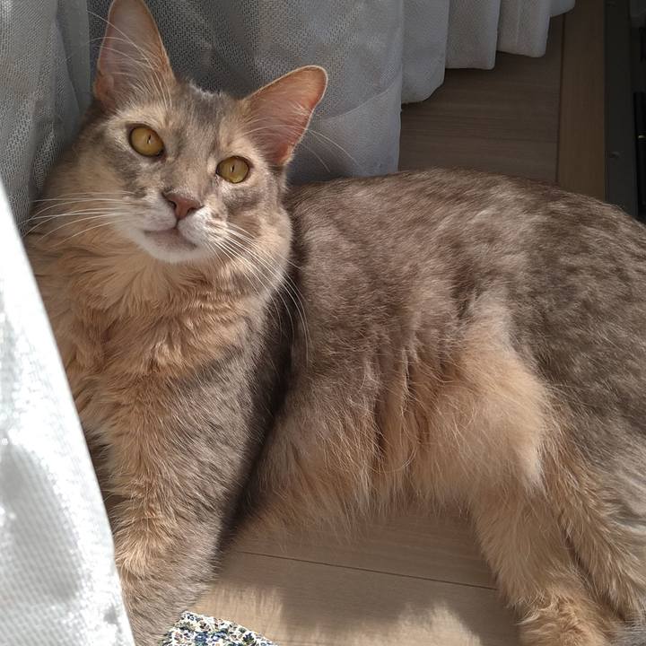 18e6c0c5 0ef2 4269 aa77 ecf9e57dafea 1603002903155