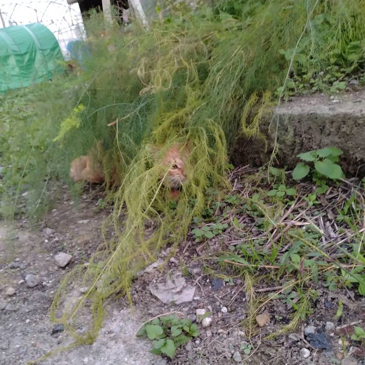 18e6ed2c 2d5a 4735 905a 6a22dbf3009c 1665909351140