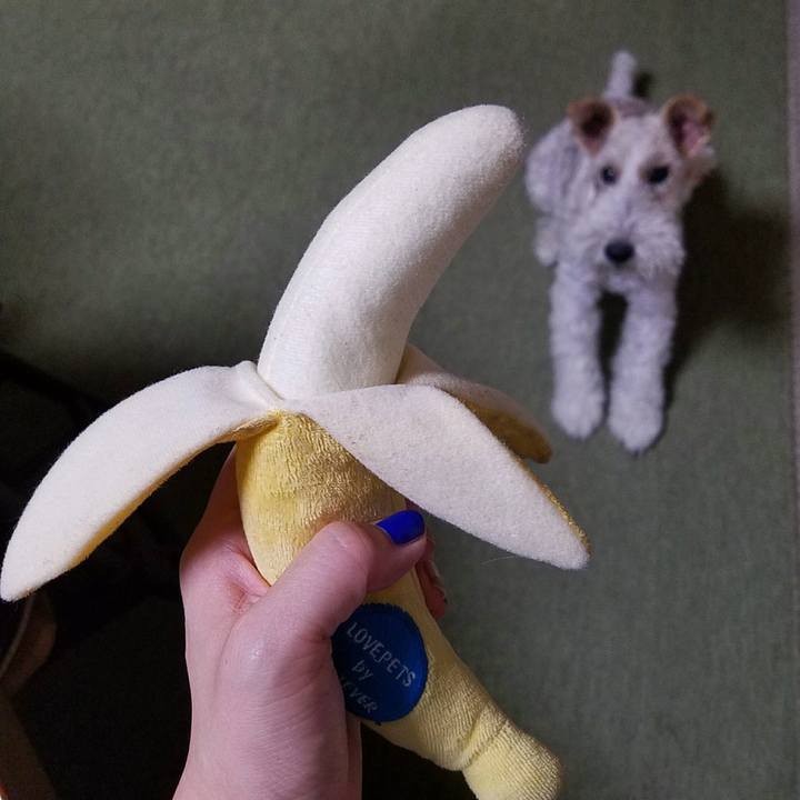 18e6f9f8 40c1 443e 8731 d4a88b0ffc82 1530280574953