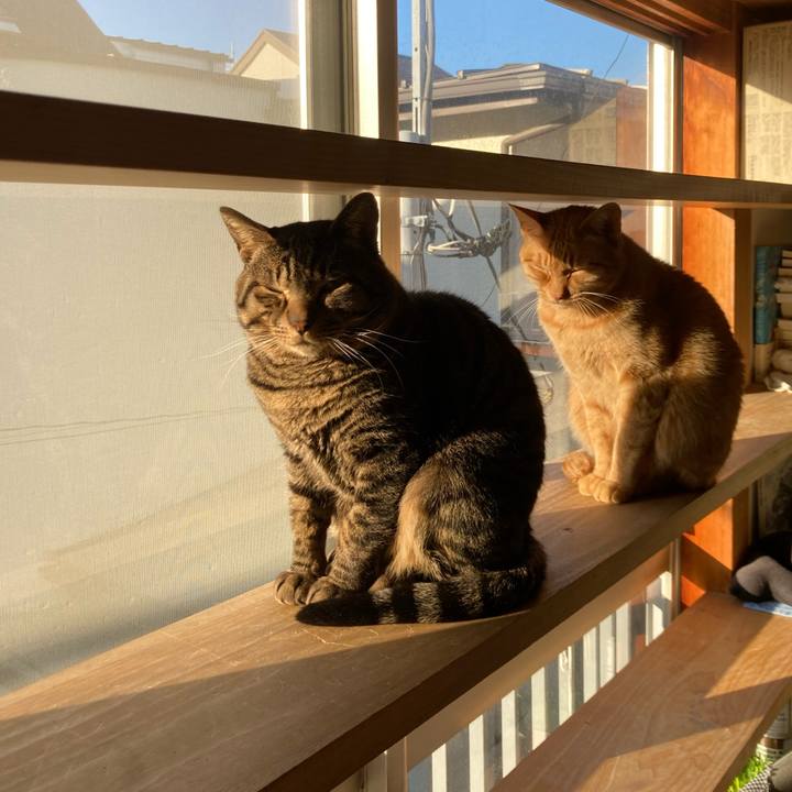 18e7225d e575 4e9a b0db 8109e9f59350 1675295262591