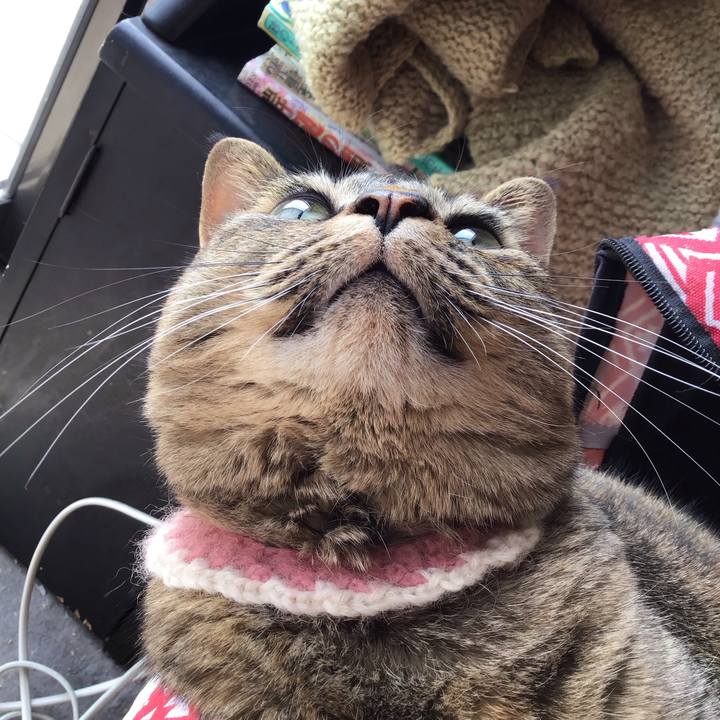 18e7234d 74a5 4697 b167 61f3242e0b00 1712985827425