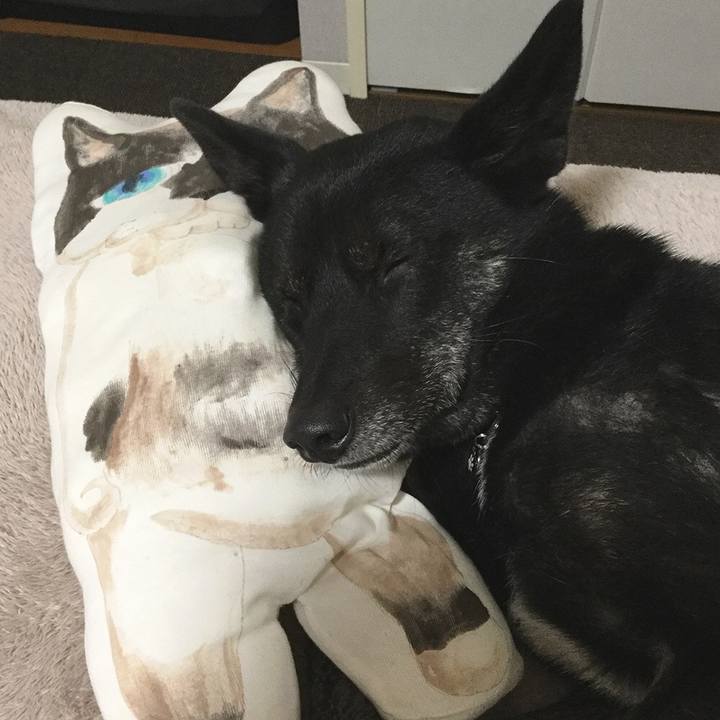 18e72723 15a0 4254 ac22 14ead55ec252 1544428645503