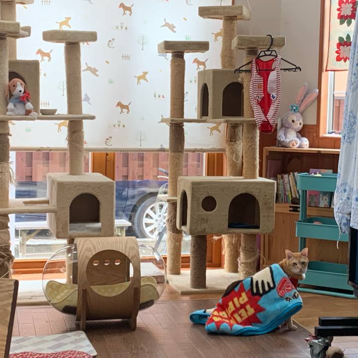 18e736f1 2769 4cb5 aea6 5de96e3f341d 1592699166049