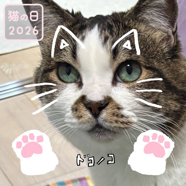 18e785b4 ee6f 4d75 9b50 49bf6ea3d74f 1771723570015