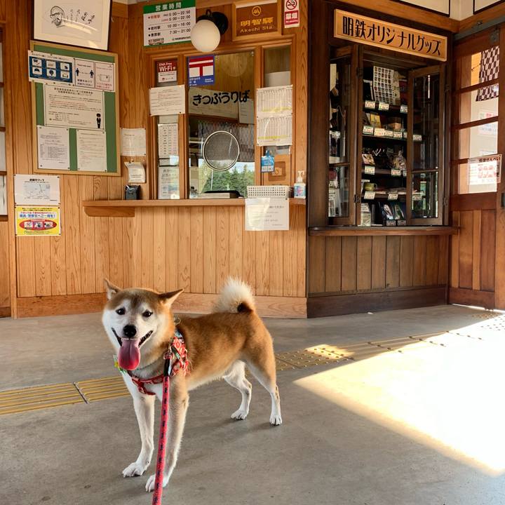 18e7c7aa acd5 49ec 8f1e 9f75f6fba47b 1628417847244