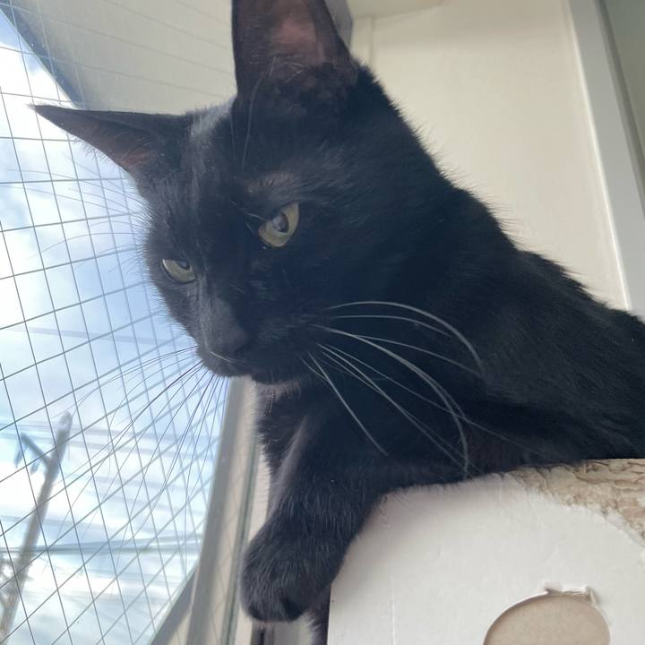 18e7d0c0 74df 4419 aea8 853a2fec13bb 1693398695782