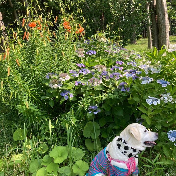 18e7e904 d75a 4cb6 ba7c 4b551b5797dd 1720058572954