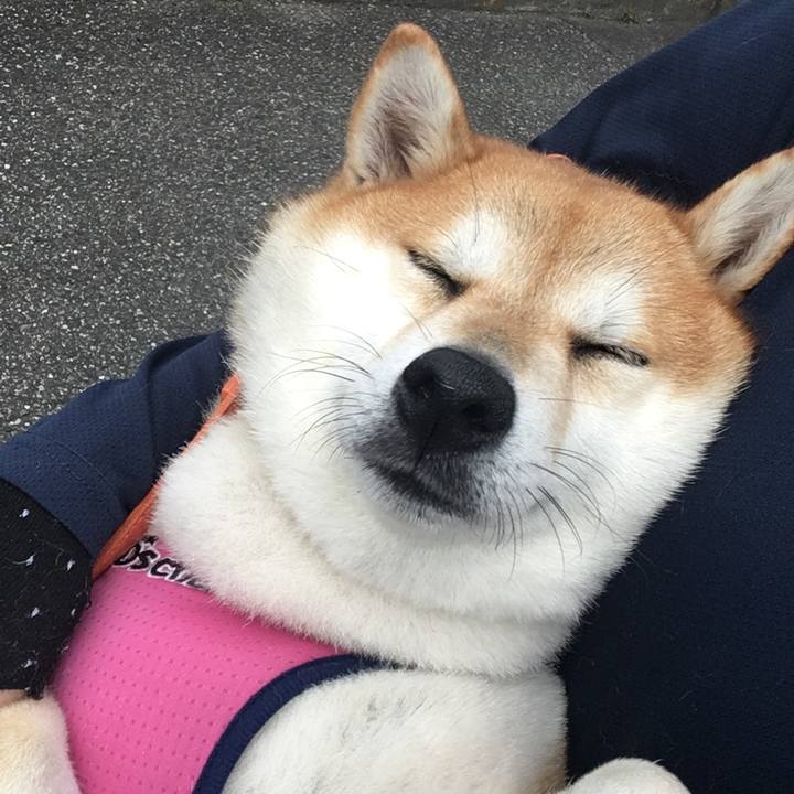 18e80ff5 2c97 4586 8c64 ac512fe4a073 1571195230030