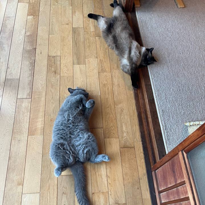 18e835de 4b8d 475c 90a8 f54b1ed082b3 1658488040083