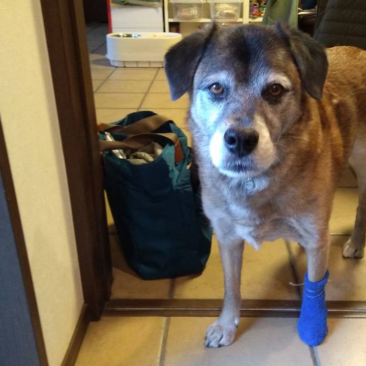 18e84b53 cd7b 4791 9376 f296f885539a 1547850280480