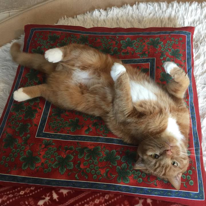 18e86f6e 99cf 447a a437 6451bebee301 1586664481910