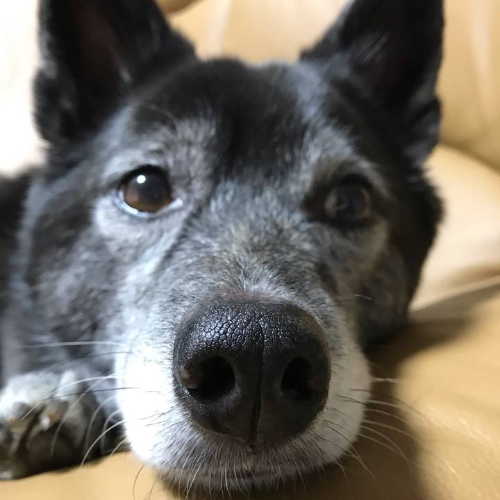 18e874aa 1c80 4214 8a78 af484d5fa2ad 1614748459431