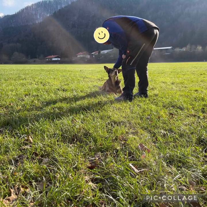 18e88601 0d49 4723 aab6 bdacb231d142 1618754092306