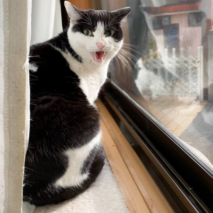 18e8a01f 2b41 4aee b3db 7167b812eb46 1581298750862