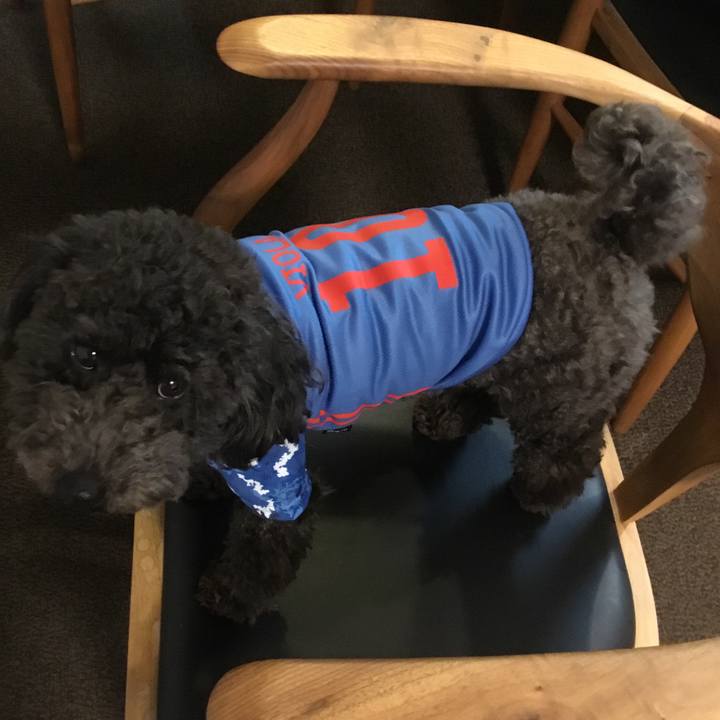 18e94a20 72b2 490e aec2 ff6b828be64f 1584586354846