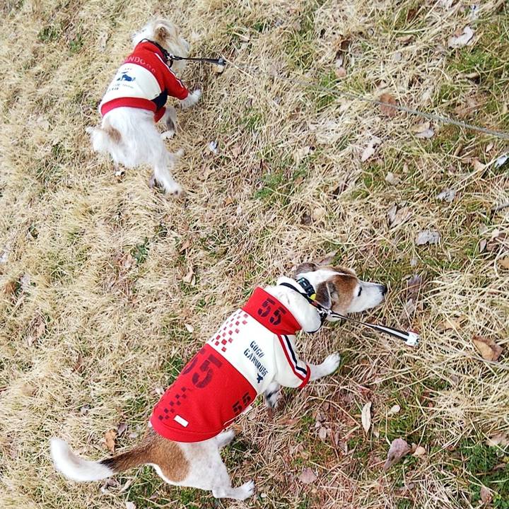 18e95937 6941 4720 9f53 c693cd559651 1582949965347