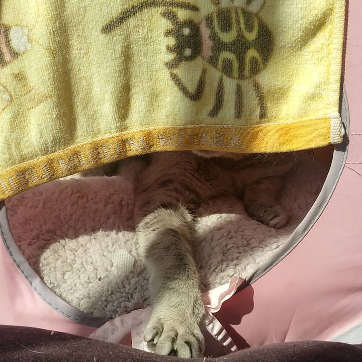 18e9629f 1327 4341 8b2f 89ea05b6cac1 1683071847827