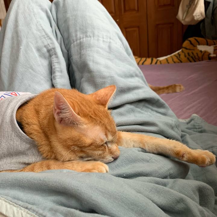 18e9a040 8646 41c0 b9a2 59ebd2322e71 1628810663836