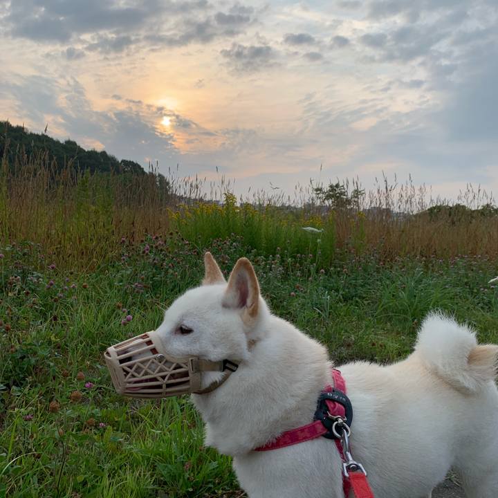 18e9a194 c0e7 429e 8de5 6101764ac7b7 1564954290594