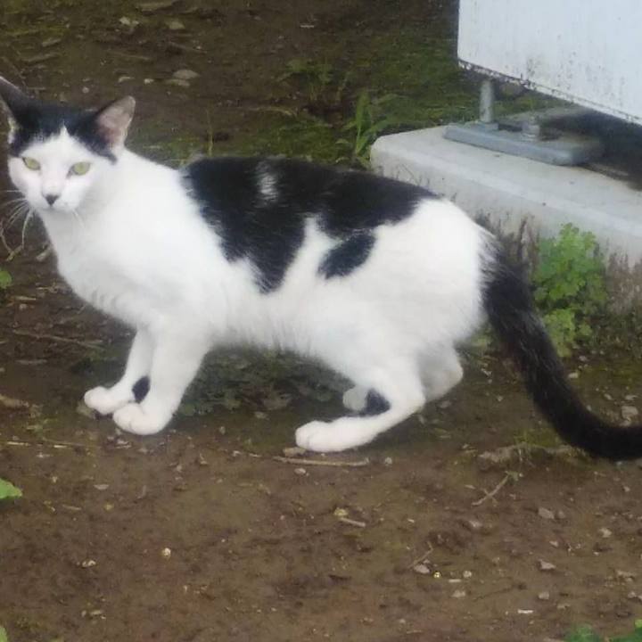 18e9a8bc 1747 4224 857e 8b75507d8e35 1624589764808