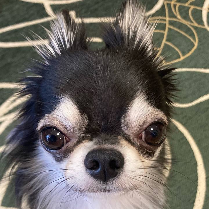 18e9c2c6 ed8c 4056 b06c 69ec9431ba7a 1636151517789