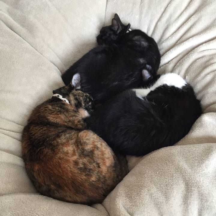 18e9fa65 545c 4a82 9b83 1e2e044d53ec 1518833584332