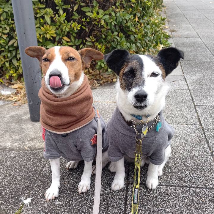 18ea0de3 8e80 4be5 94d3 72648458ccad 1673653117594