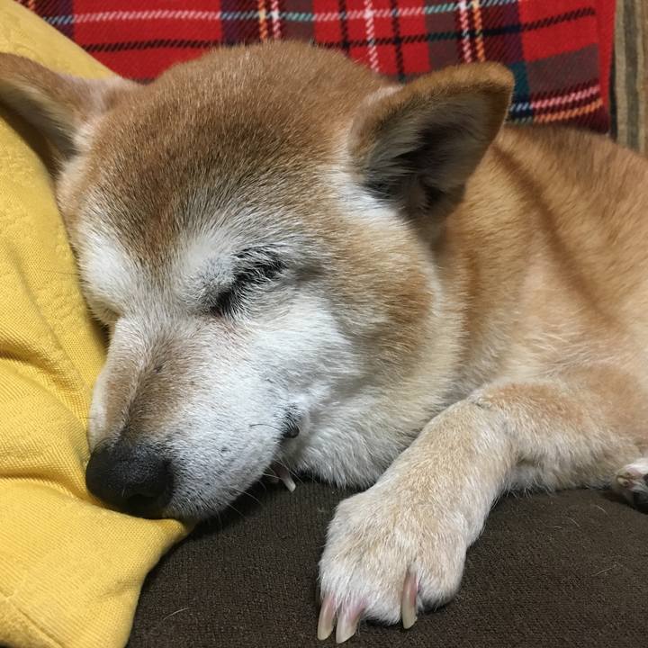 18ea1541 5c3e 4149 949e d3c0b8eab7a8 1552606457499